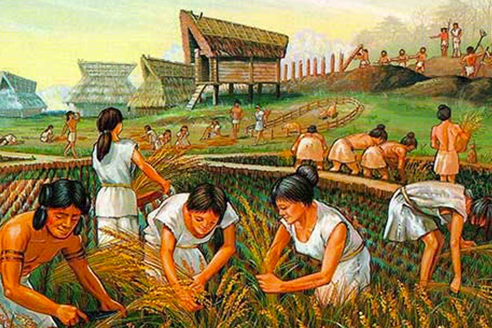 agricultura-neolitico